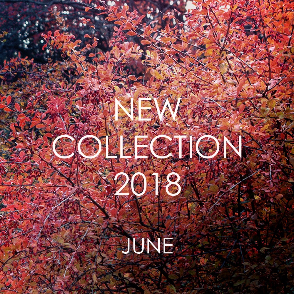 New collection 2018